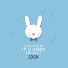 geboorte felicitatie kaart zoon blauw konijn